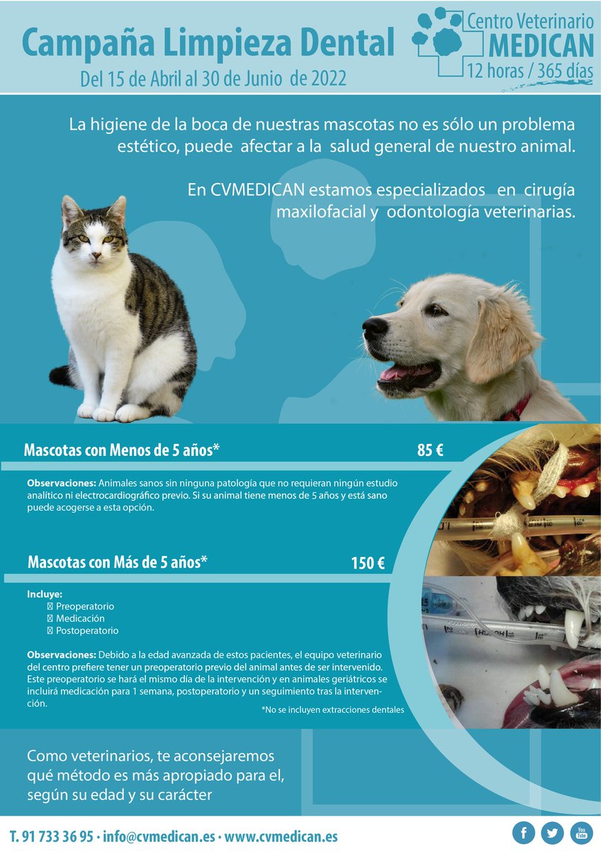 cvmedican's tweet photo. ¡Últimos días para reservar cita y aprovechar nuestras campañas de #esterilización y Limpieza dental! https://t.co/s9m6TQnQnR