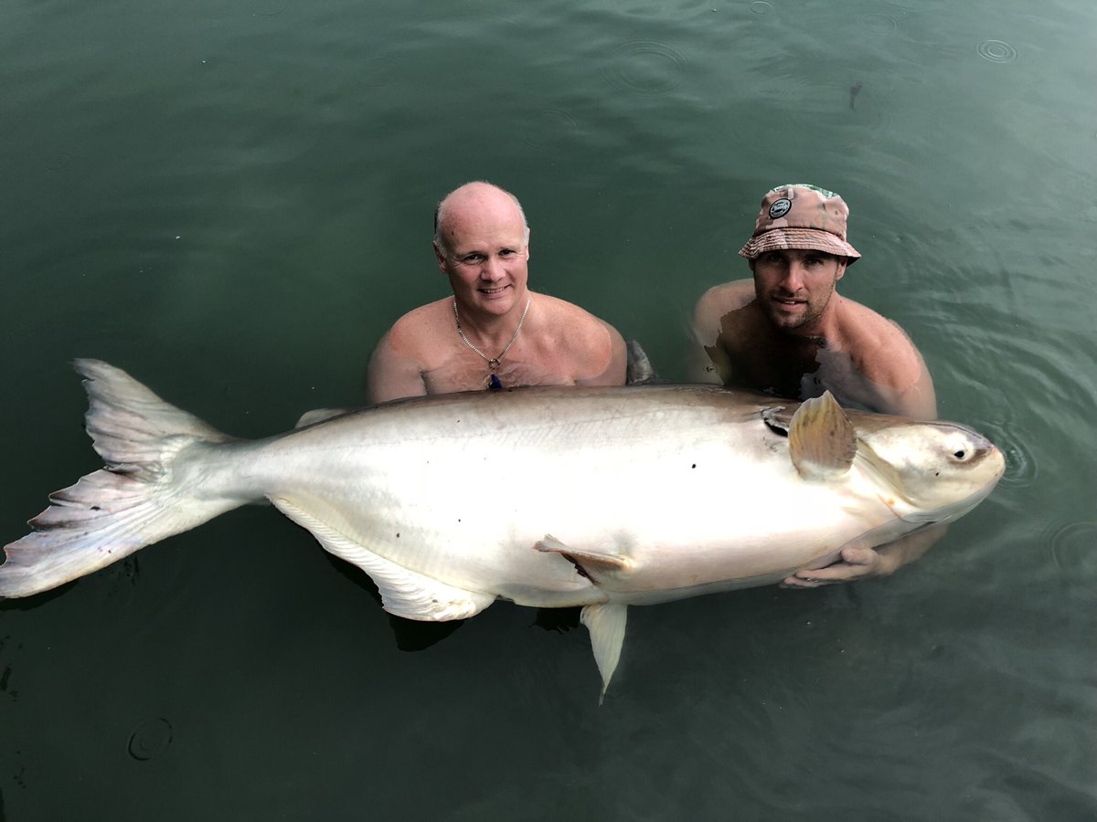 carpgeez's tweet photo. @pdavis43 https://t.co/vIhHmQDLVm