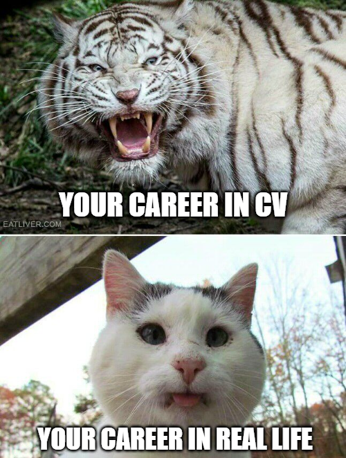 myskill_id's tweet photo. WEBSITE TEMPLATE SURAT FORMAL ( CV, COVER LETTER, UNDANGAN DLL )

a thread ~ https://t.co/uPQ3AnwYFb