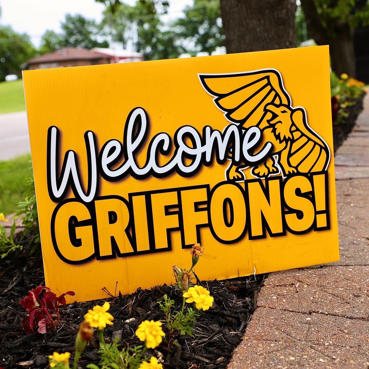 MissouriWestern's tweet image. Welcome to all our #SummerGriffons starting their second 4-week classes! ⭐️Are you interested in taking a summer class? Late registration is open in our Registrar’s office until 4:30 pm today! 

#GoGriffs #GriffonsSucceed #GriffonsLearn #MissouriWestern