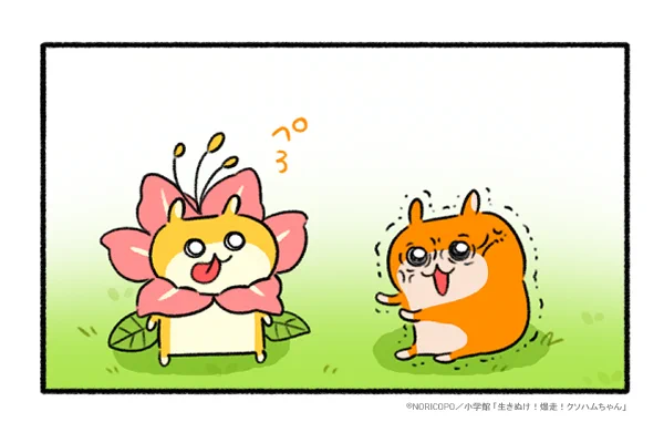 ☀️月曜更新マンガ☀️

マンガワンで93話&先読み94話が更新されたでちゅ!読むでちゅ?
#生きぬけ爆走クソハムちゃん #ハナハムちゃん

▽続きはコチラ
https://t.co/WQ0ESPzVls 