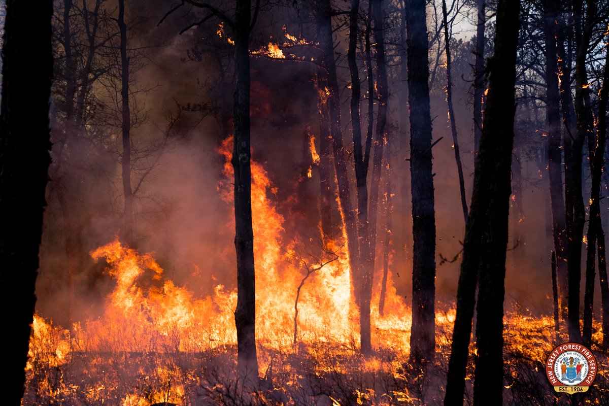 njdepforestfire's tweet image. WILDFIRE UPDATE: Brendan T Byrne State Forest – Brickworks Wildfire – Manchester and Woodland Townships

At 10 a.m. Monday, June 27, the New Jersey Forest Fire Service has achieved 100 percent containment of a 315-acre wildfire near Pasadena Road in Brendan T. Byrne State Forest.