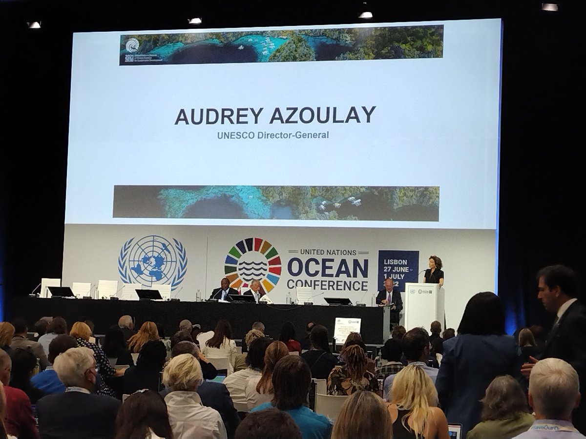 Blue Flag tweet media