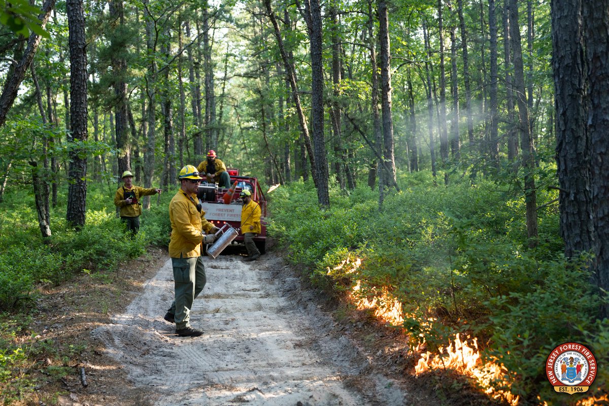 njdepforestfire's tweet image. WILDFIRE UPDATE: Brendan T Byrne State Forest – Brickworks Wildfire – Manchester and Woodland Townships

At 10 a.m. Monday, June 27, the New Jersey Forest Fire Service has achieved 100 percent containment of a 315-acre wildfire near Pasadena Road in Brendan T. Byrne State Forest.