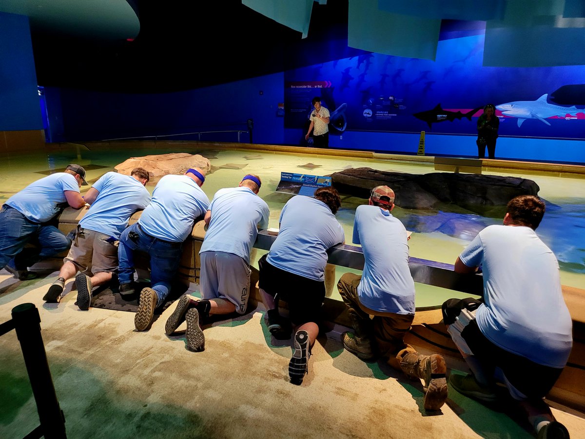 StructuredL's tweet image. Last week the team was able to volunteer a little time and assist the Indy Zoo with some late spring (summer) cleaning for the Go All in Day 2022! 
We love having the opportunity to give back to the beautiful communities we work in! 
#goallinday #unitedway #stingrayfeeding