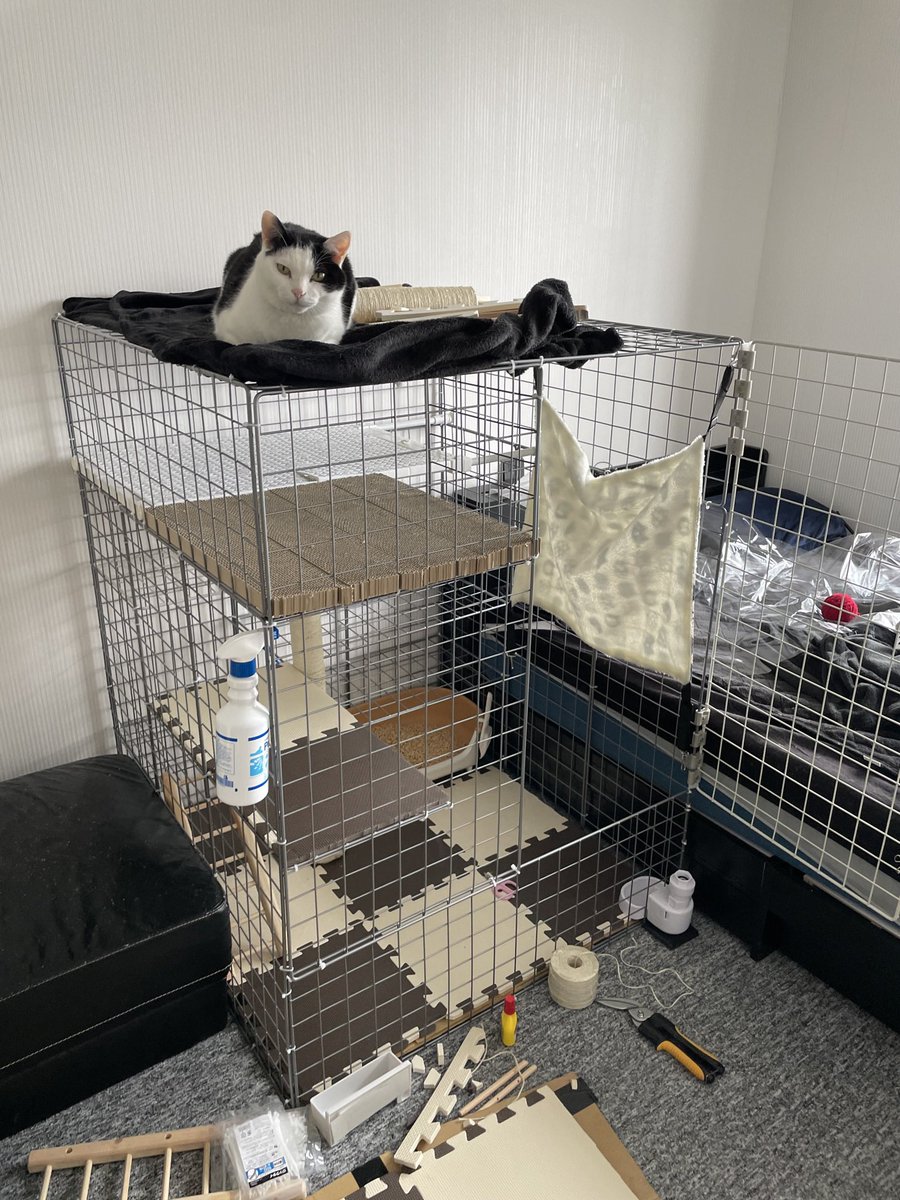 猫ケージは自作すれば安く出来るだろうと作ってみた結果がこちら やっぱりこうなるんだよね 笑 Togetter