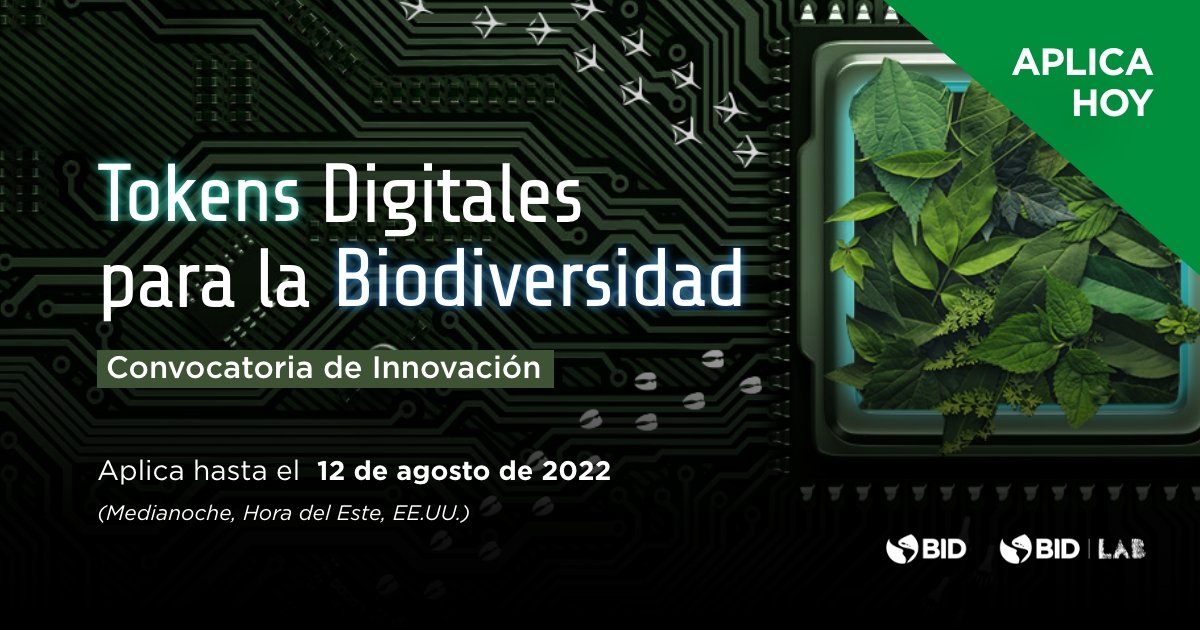 tomasber's tweet photo. Aplica a la convocatoria de innovación del @IDB_Lab que busca apoyar soluciones que aprovechen el poder de los #TokensDigitales como herramientas para avanzar en la conservación de la biodiversidad y la acción climática en la región.
Postula hasta el 12/08 https://t.co/SppdNz3z8b https://t.co/3xPe5l07KM
