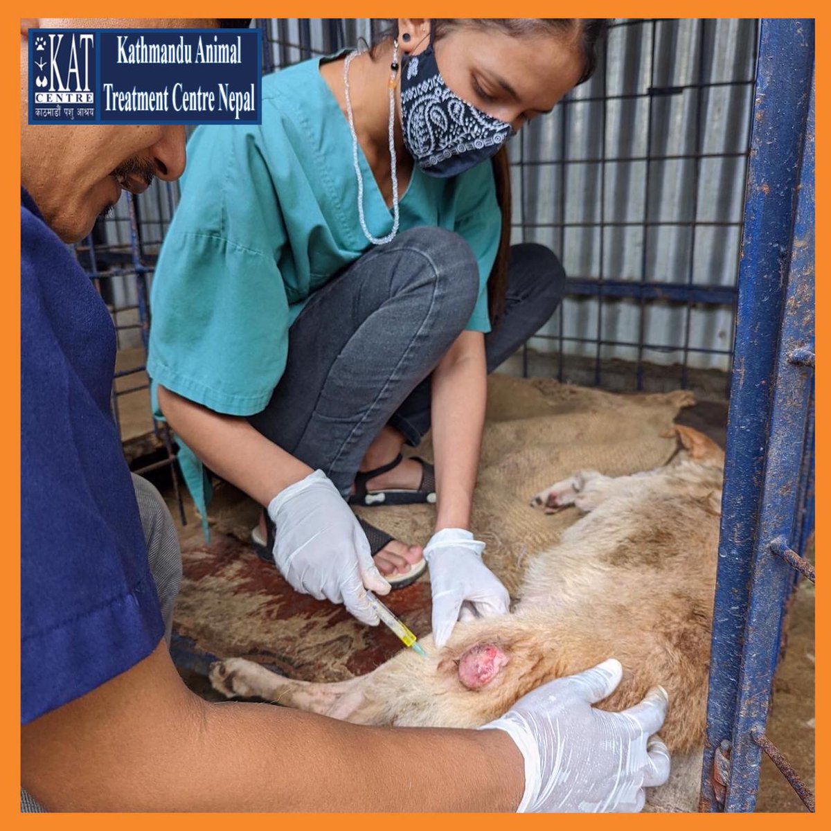 KAT Centre Nepal (@KATcentre_nepal) / Twitter KAT Centre Nepal (@KATcentre_nepal) / Twitter
