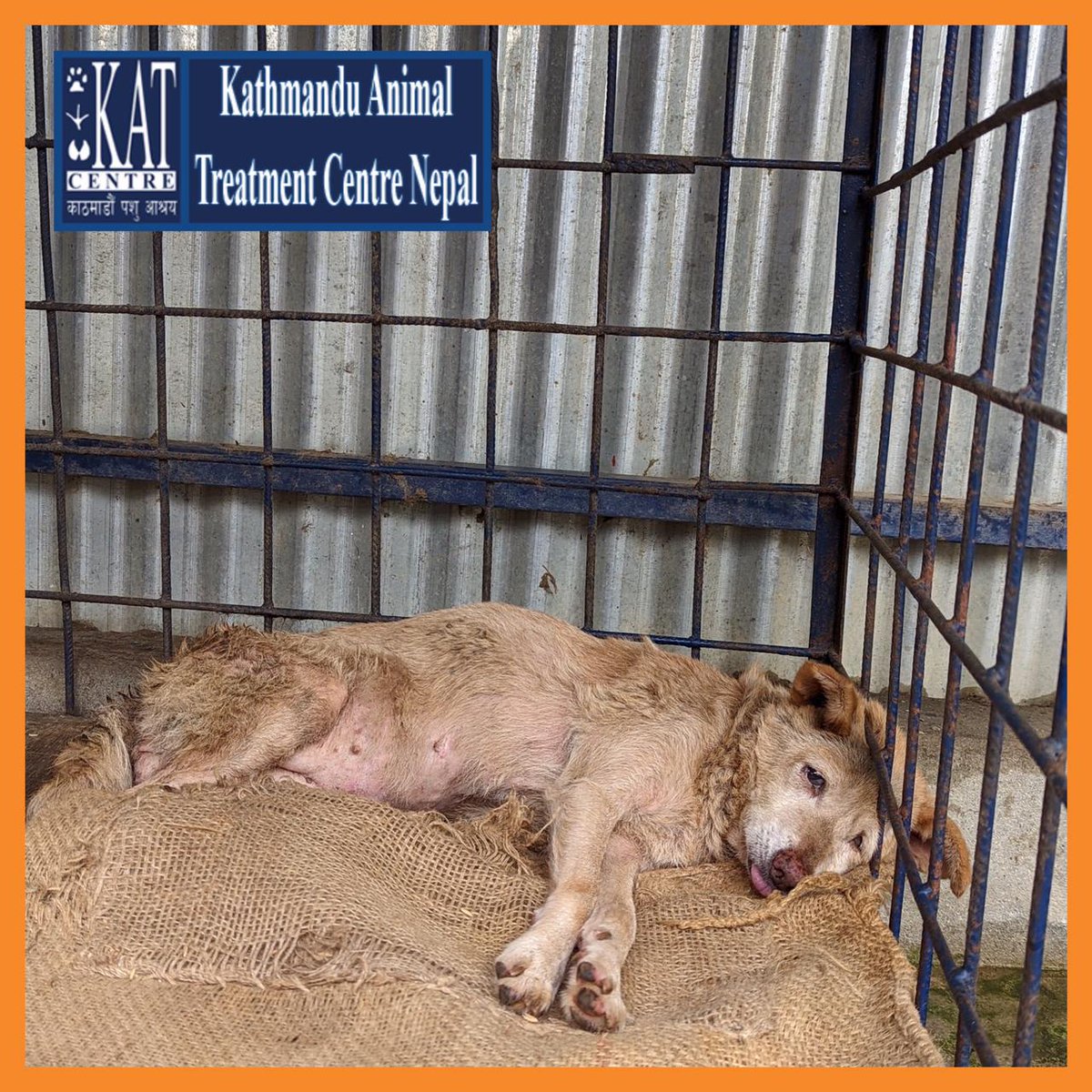 KAT Centre Nepal (@KATcentre_nepal) / Twitter KAT Centre Nepal (@KATcentre_nepal) / Twitter
