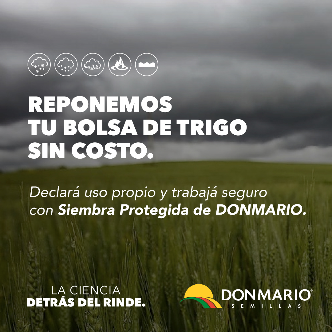DONMARIOoficial's tweet photo. Protegemos el resultado de tu campaña de trigo! 🤝

Si compraste #DMAromo o #DMCatalpa y/o declarás uso propio de nuestras variedades, ya podes asegurar la resiembra de trigo frente a siniestros, sin costo.

Protege tu lote en https://t.co/mPbWSQviTU

#LaCienciaDetrásDelRinde https://t.co/RBoZaCAFIT