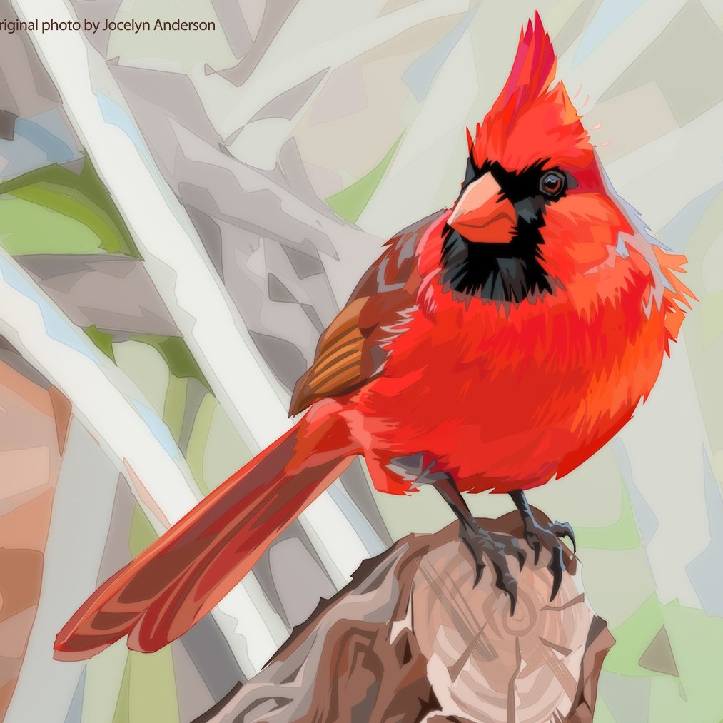 「4 bird studies from 2020 done with lasso」|Marcel Hampel | on PATREON & GUMROADのイラスト