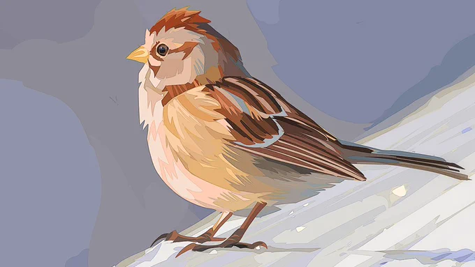 4 bird studies from 2020 done with lasso-tool and flat colors based on photos by Jocelyn Anderson. 
