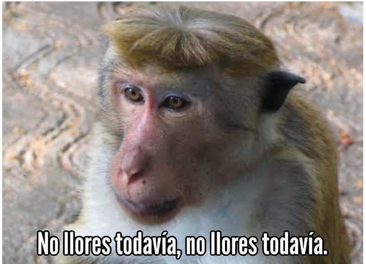 Mi suegra: Yerno ya le dio de comer mi hija? U._.L.... Yo comiendome un  platano porque SU princesa todavía no se levanta, image size:1200x867