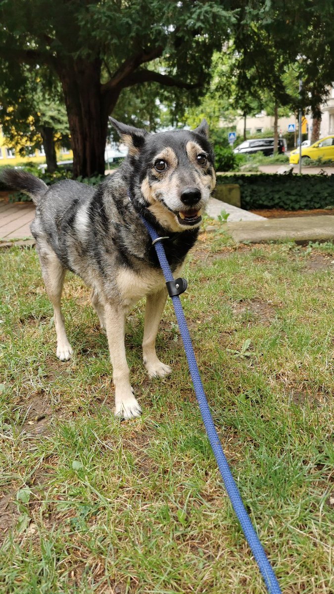 𝐤𝐥𝐢𝐦𝐟𝐲 tweet media