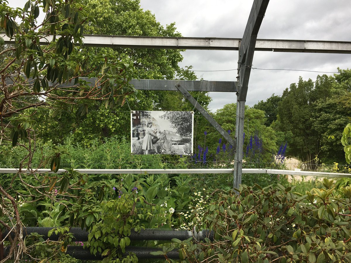 evcrabtree's tweet photo. While in St Andrews, I also visited the show 'Places We Love: Art and the Ukrainian East' @StABotanics. Incredible, thought-provoking work (including by @DaryaTsymbalyuk) and beautifully displayed in the botanic gardens. Don’t miss it if you’re nearby! https://t.co/IdiSa9gfT3 https://t.co/nE74RLMs5l