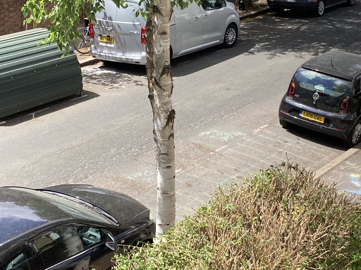 NorcottParklet's tweet photo. We have chalked out the potential space. 

This is where we hope to create the parklet on Norcott Road  

It has been good making links already. https://t.co/cNg1uOtlMB