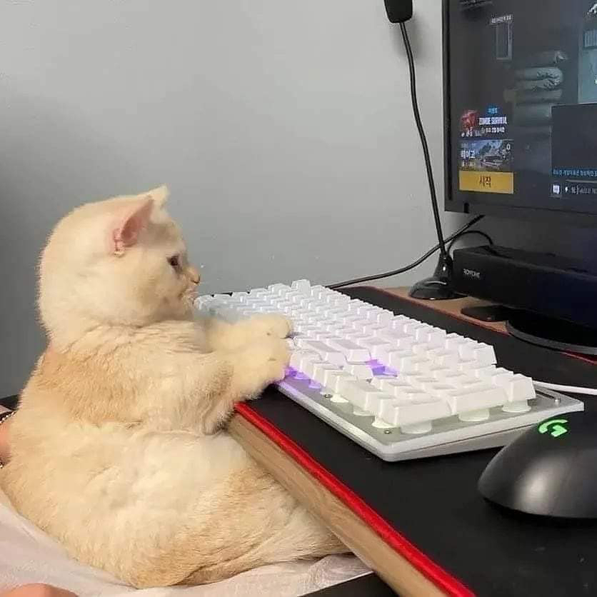 MorningBrew's tweet photo. look at my financial advisor dawg I'm going to lose it all 😭 https://t.co/n5pH2b8hFd