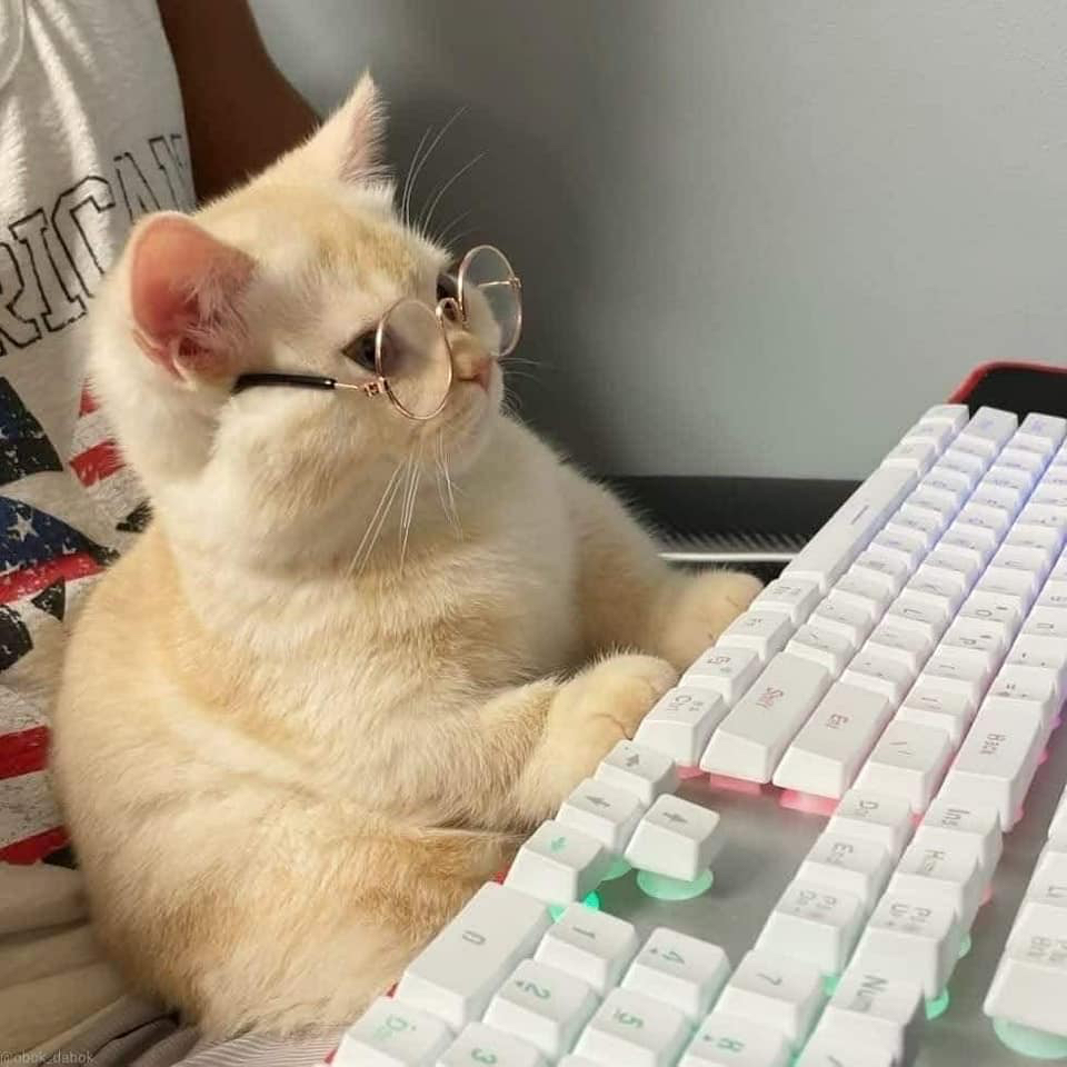 MorningBrew's tweet photo. look at my financial advisor dawg I'm going to lose it all 😭 https://t.co/n5pH2b8hFd