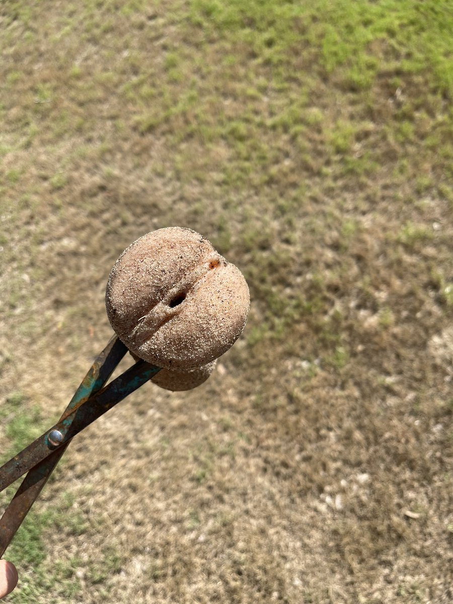I’ve found a lot of weird things on the golf courses I’ve been at over the years. This however is definitely the winner of the weirdest.