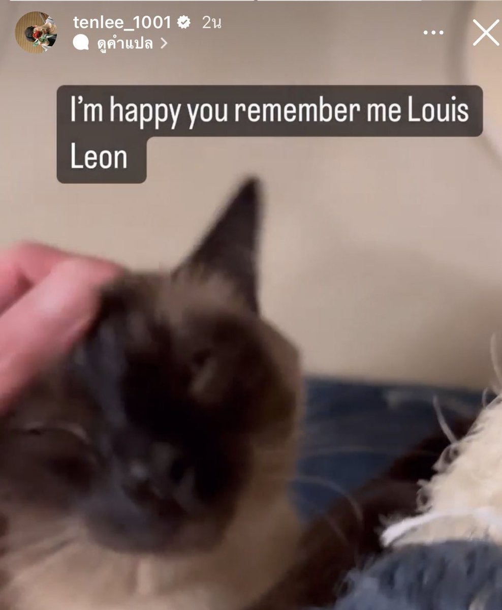 ไอ้เชี่ยยยยยยย รูปแรกที่เตนล์ลงหลังจากกลับเกาหลี คือรูปแมวที่ตัวเองรัก แคปชั่นว่า "มีความสุขจังที่แมวจำผมได้" อมก😭😭 ใครไหวไปก่อนเลย