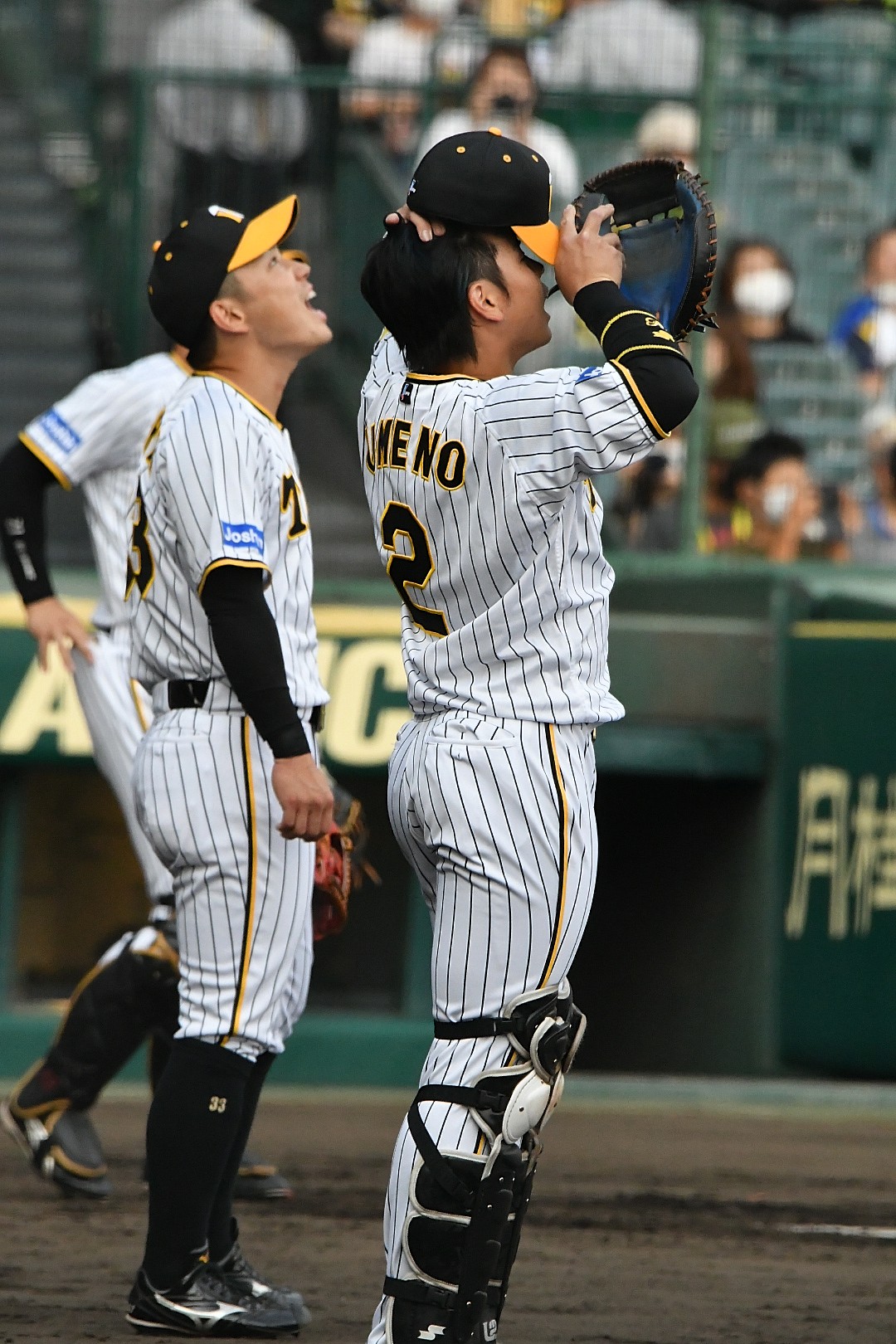 グレイ系驚きの価格 阪神タイガース コレキャラ 19 糸原健斗 応援グッズ 野球グレイ系 9 000 Eur Artec Fr