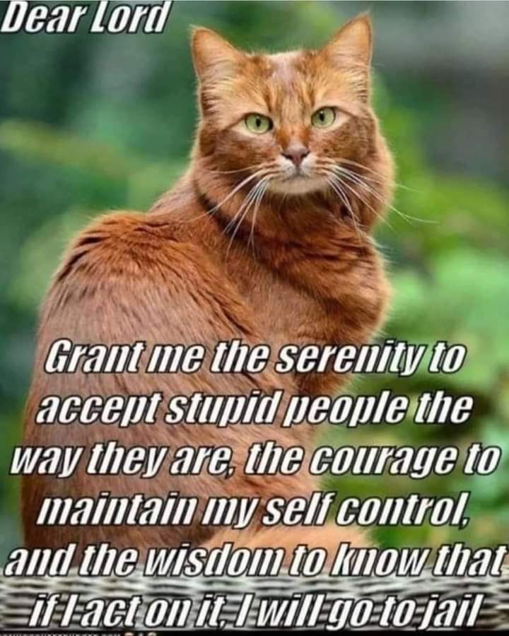 ID Reasonable Doubt (@rdonid) on Twitter photo 