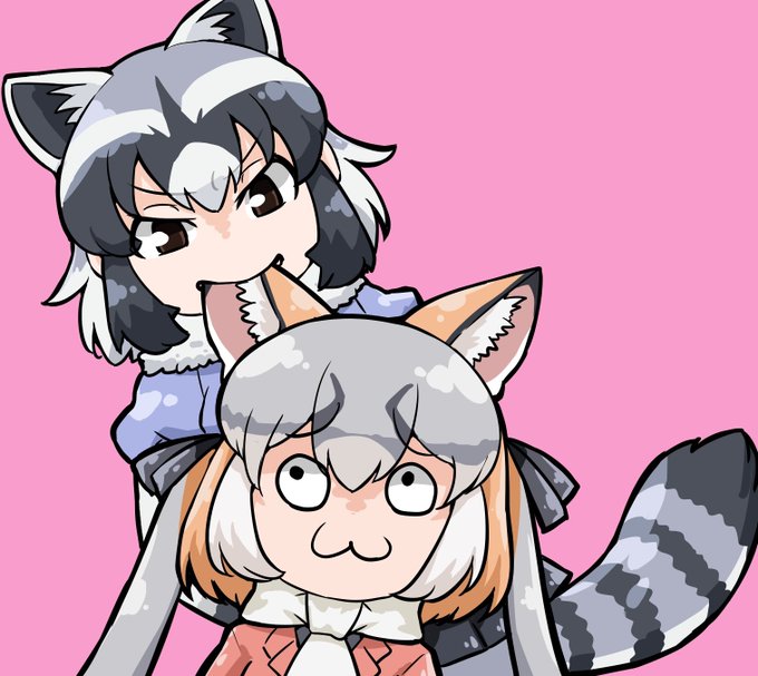 シマハイイロギツネの耳に噛みつくアライグマ 