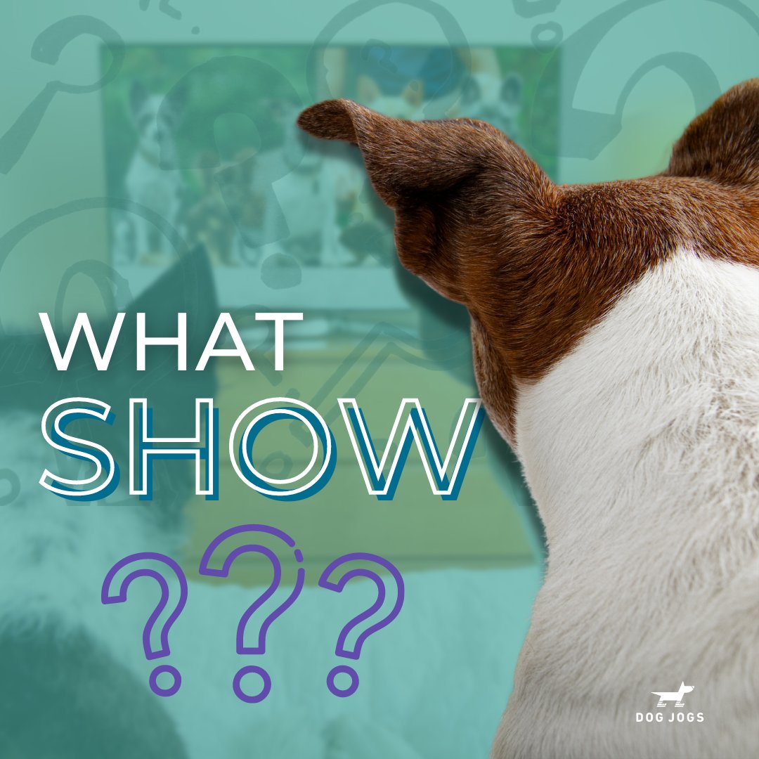 yegdogjogs's tweet photo. What is the one show/movie your pets watch every day? List it below! Do you leave the TV on for them when you leave the house? https://t.co/kEcFOY7Ukm