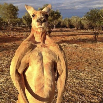CasteloBaltazar's tweet photo. #NovaFotoDePerfil https://t.co/3c48P9A4dU