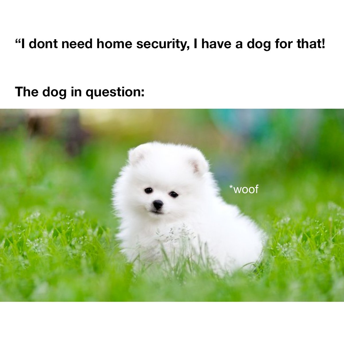 Comtronics tweet media