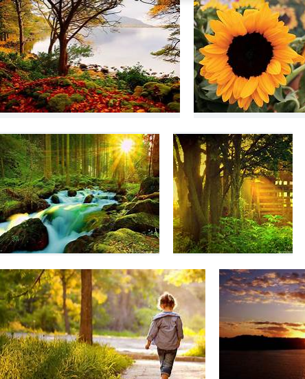 Developerik1's tweet image. Set up and optimize your professional Facebook business page.
fiverr.com/share/Lm0rZQ
#AliaBhatt #letsconnect #KatrinaKaif #fbpage #businesspage