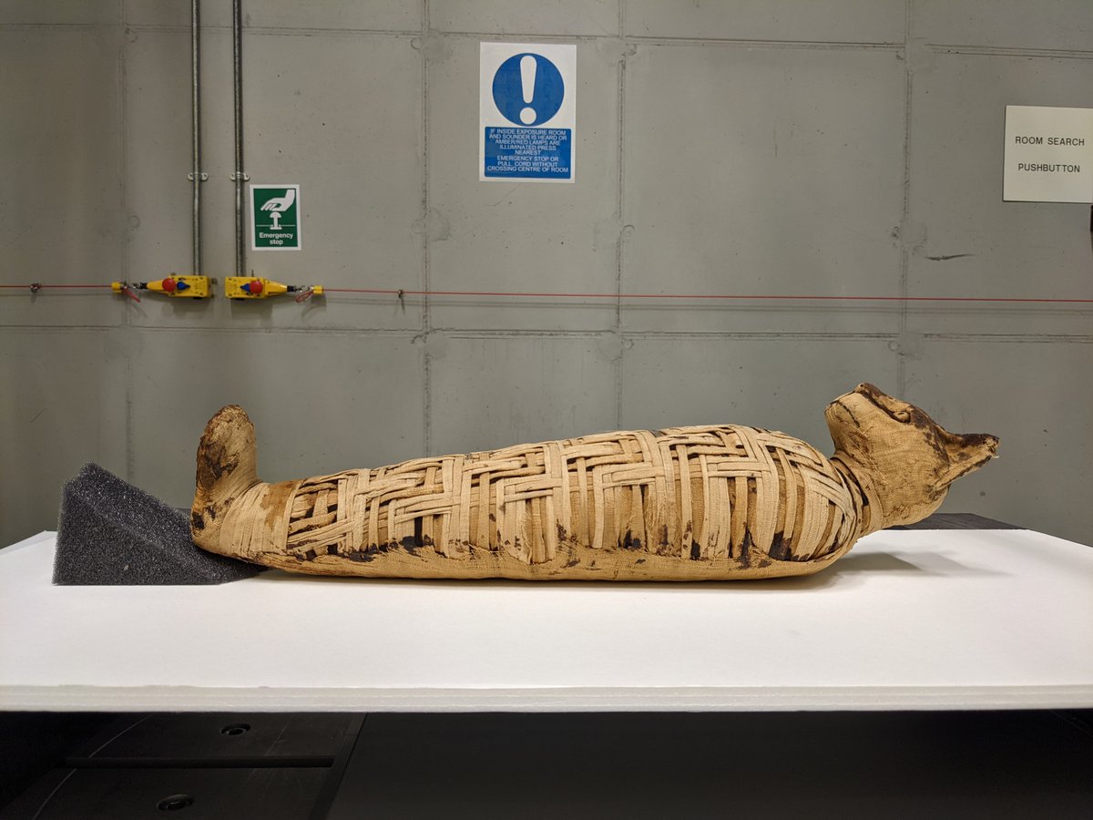 📢📢📢 We are looking for our next colleague @britishmuseum #ScientificResearch! Want to work with @danoflynn and myself on #3DImaging? Love animal mummies? Then this may be the post-doc for you! More information at bmrecruit.ciphr-irecruit.com/templates/CIPH… The application deadline is 18 July 2022