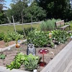 Image for the Tweet beginning: The gardens at Bridgeport help