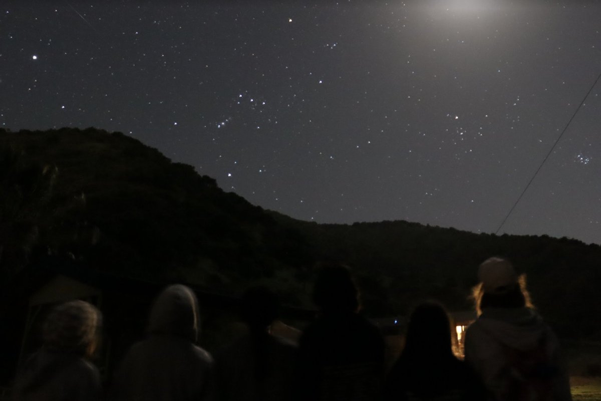 CIMI_Science's tweet photo. During astronomy in the springtime, students learn to identify lots of constellations such as Orion, Taurus, Ursa Major, and Canis Major! ✨ 🔭 🌟 🌝 🤩 #cimiscience #astronomy #marinescience #nightprogram #stargazing #constellations #orion #bigdipper https://t.co/5yNE2VRd72