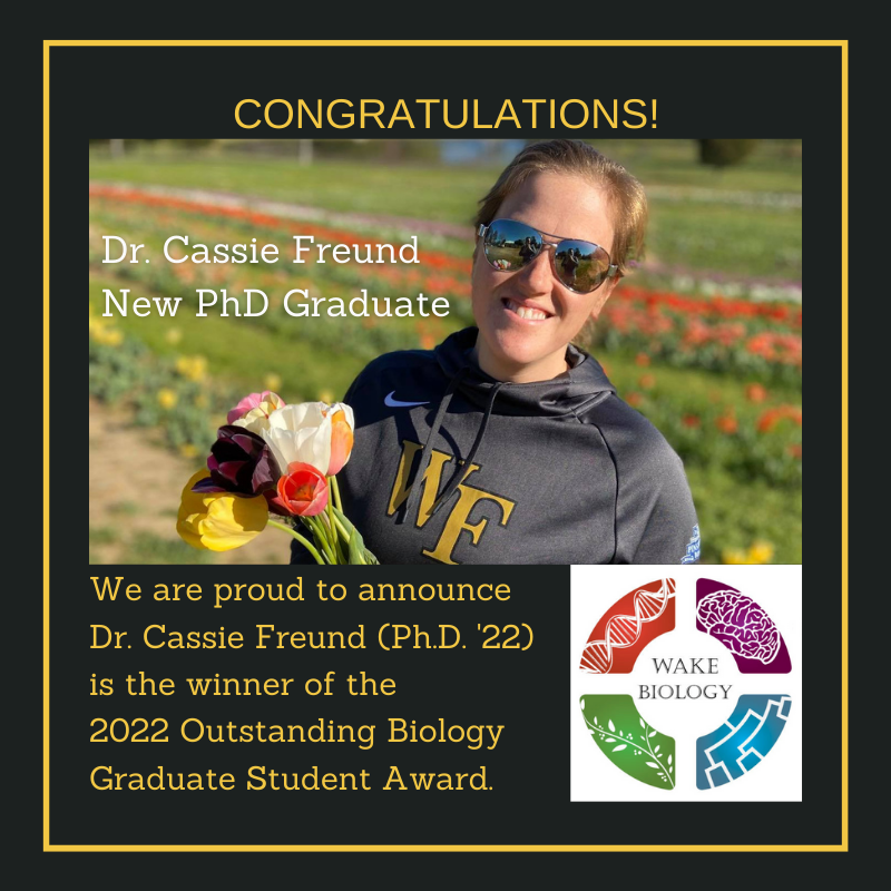 wfubiology's tweet image. Congratulations to new PhD Graduate @CassieFreund for winning the 2022 Outstanding Biology Graduate Student Award! She was selected based on her demonstrated excellence in research (authoring 8 papers), teaching, and service. A well-deserved award!