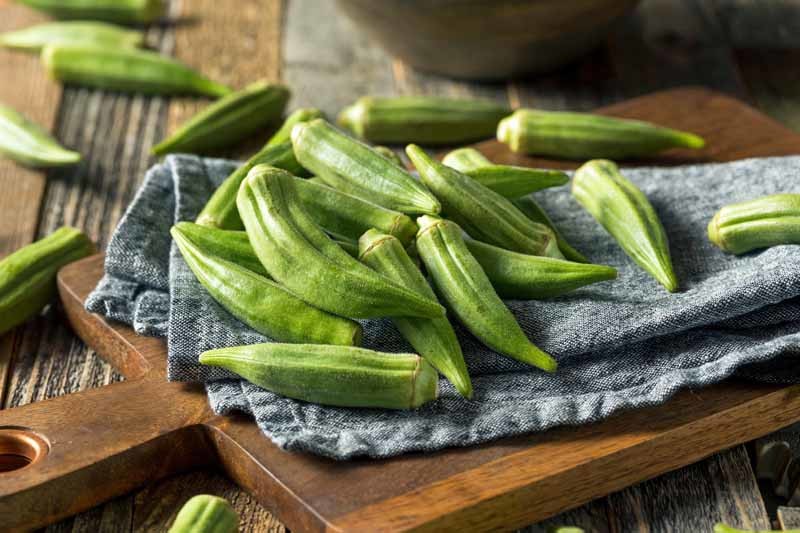Gardeners_Path_'s tweet photo. Harvesting Okra: When and How to Pluck Those Prickly Pods https://t.co/jQ1rvBTpYa #okra #harvestingtips #gardening #growyourown https://t.co/nJd59hIW0R