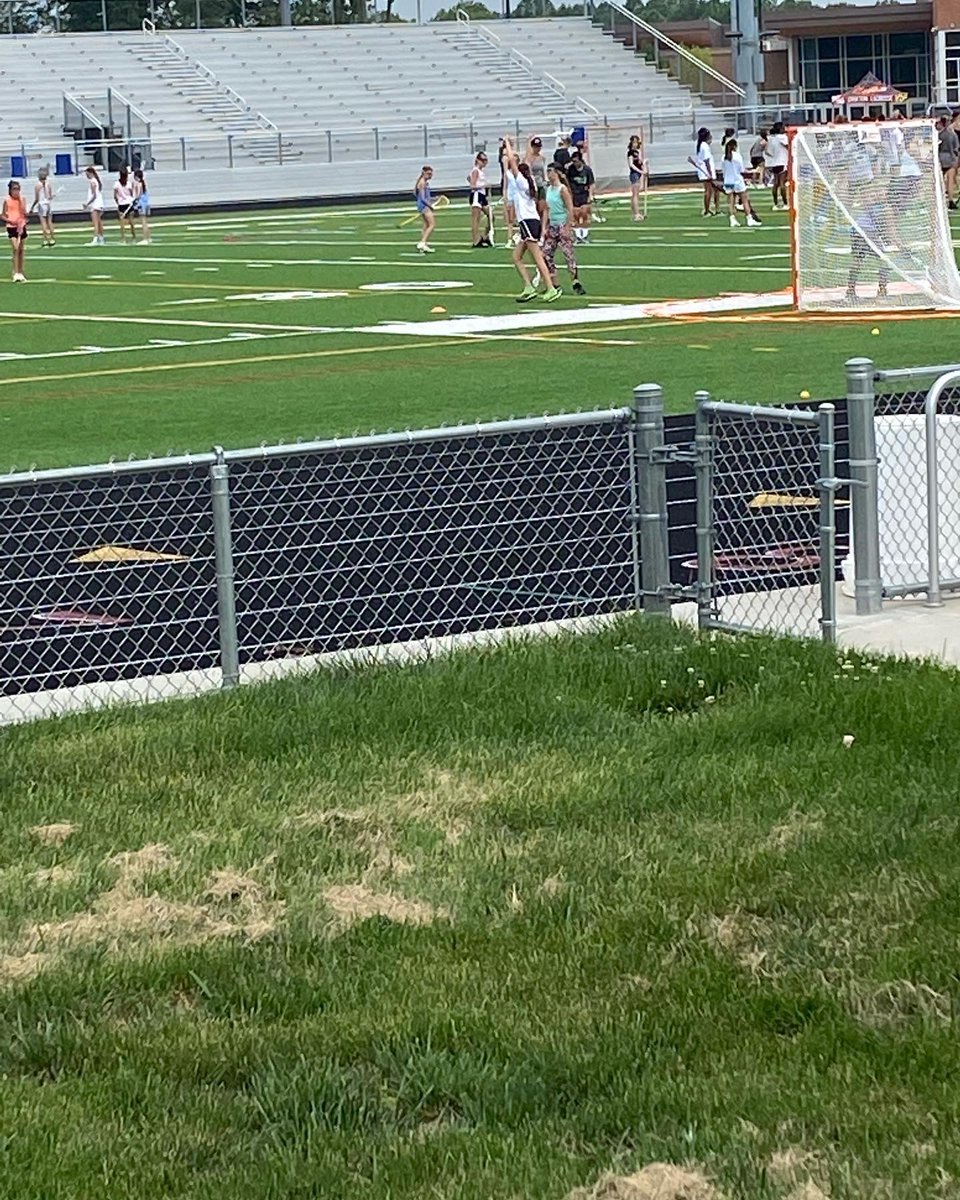 Elite Starr AA tweet media