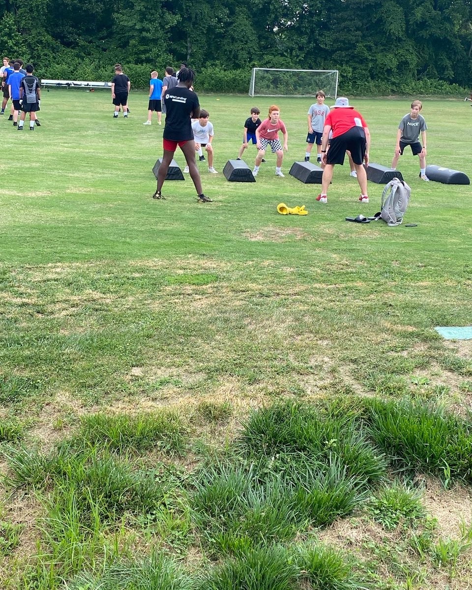 Elite Starr AA tweet media