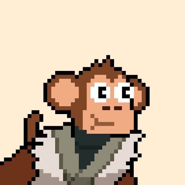 Ready for dojo ✅ <a href="/ChimpersNFT/">Chimpers Archived</a> <a href="/TimpersHD/">Timpers</a> <a href="/NFT1nsight/">insight.chimp</a> <a href="/PunkHot10/">Ser Joey</a>