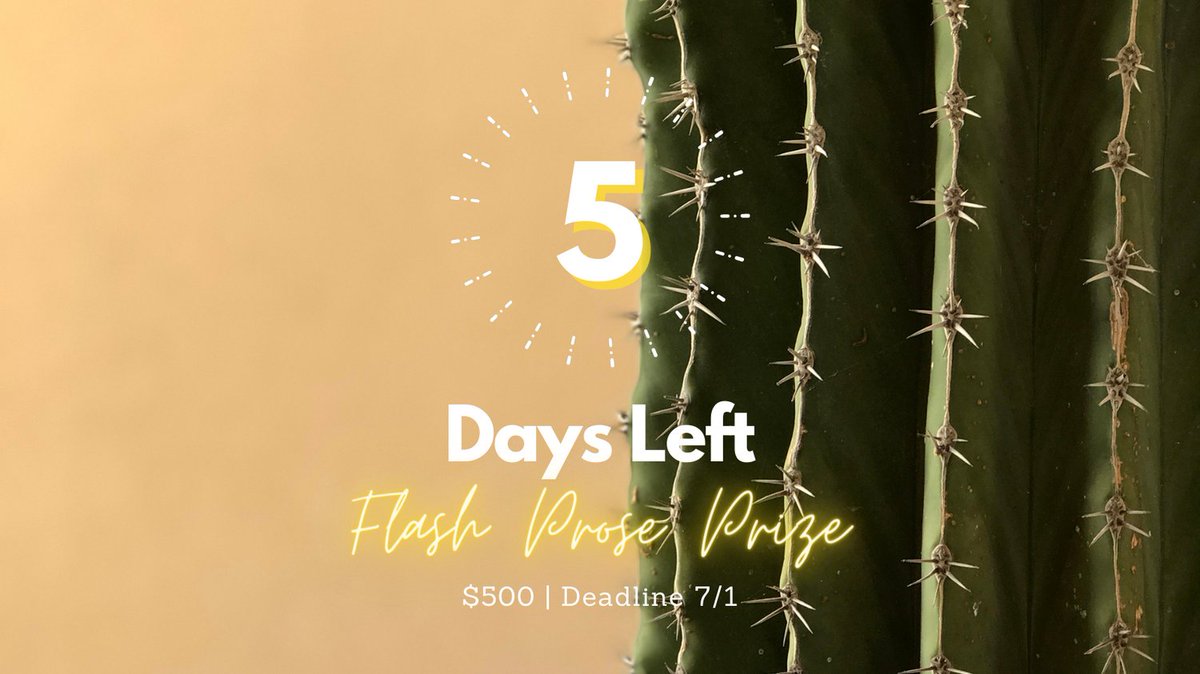 RuminateMag's tweet photo. We get it. We procrastinate too.
So here's your friendly reminder: you have 5 days left to polish your best flash prose and submit it for The Waking's Flash Prose Prize!
https://t.co/59lflTW8VD
#WritingCommunity #WritingContest #FlashProse #TheWaking #AmWriting https://t.co/5KTMm1w7Oo