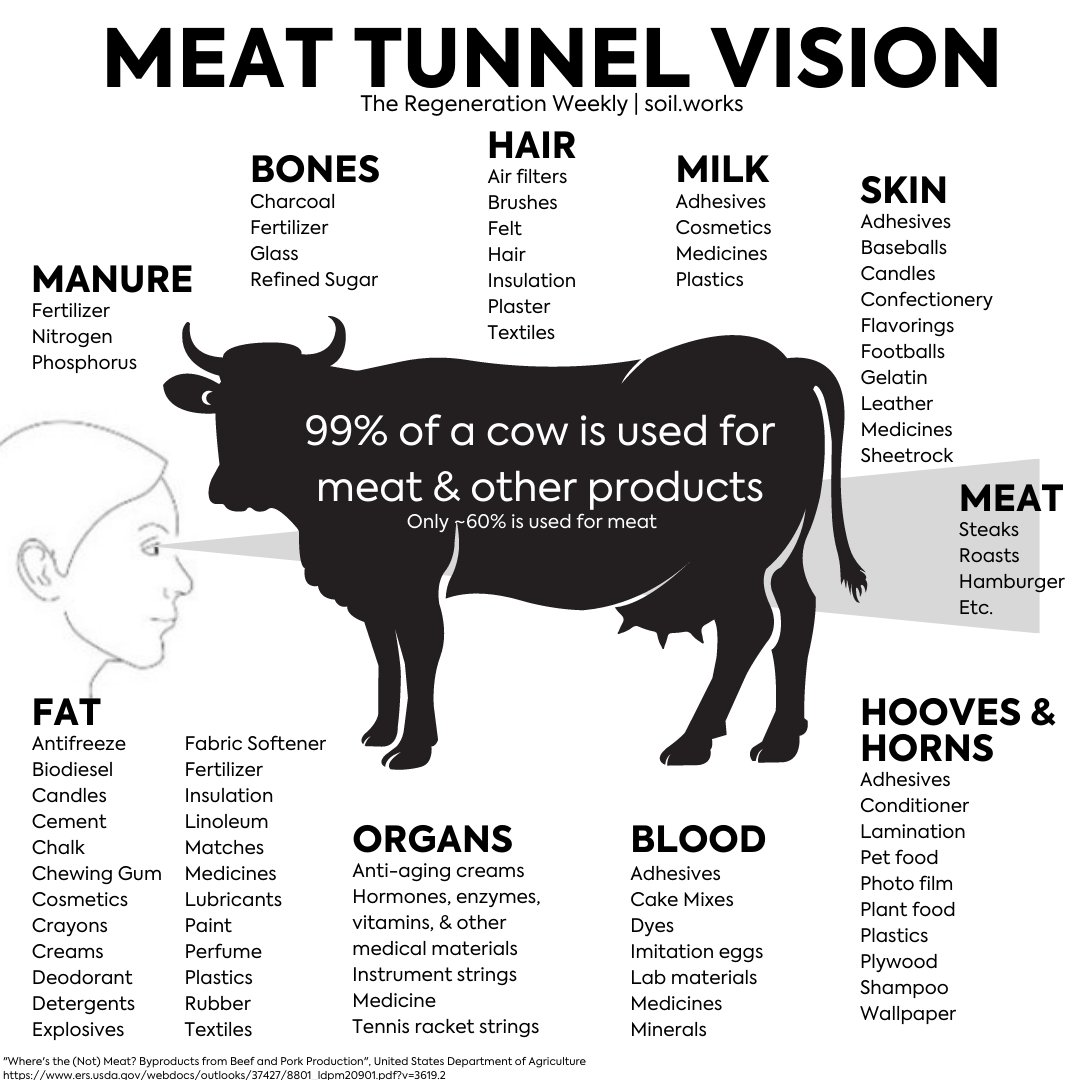 What is meat tunnel vision &amp; is it hindering our ability to scale regeneratively raised meat? #regenerativeag #regenerativeranching #betterbeef Read more here: bit.ly/3A3aibn