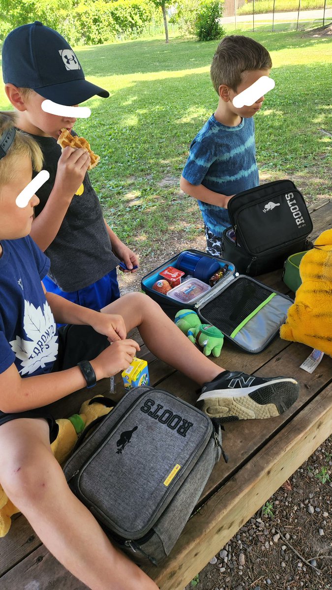 MsCowan_'s tweet photo. Stuffies picnic! We waited for the perfect weather, and today delivered. What a great way to eat lunch on the last Monday of school ❤️ @ThamesfordPS @TVDSB https://t.co/ZPkBrgEtI8