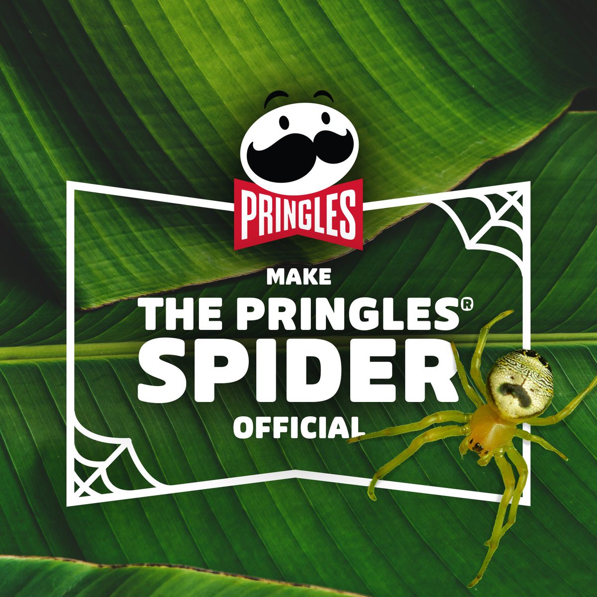 Pringles's tweet photo. Introducing the #PringlesSpider. Yes, it’s real. Google it, or go to https://t.co/P3V9nD6Vay to adopt your own. https://t.co/s2R4qsQkfk