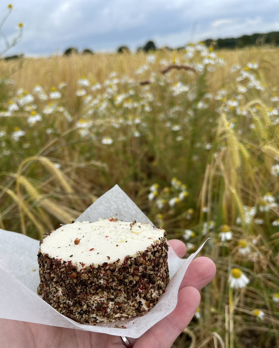 Burtscheese's tweet photo. These little beauties went down well @treaclemarket yesterday…
… our soft cheese rolled in cracked pink and black pepper.
#softcheese #somethingforsummer #artisancheese #cheese #cheshirecheese #artisancheesemaker #cheesemaker #cheese #cheesemaking #Cheshire #Knutsford https://t.co/C56sSxSY7o