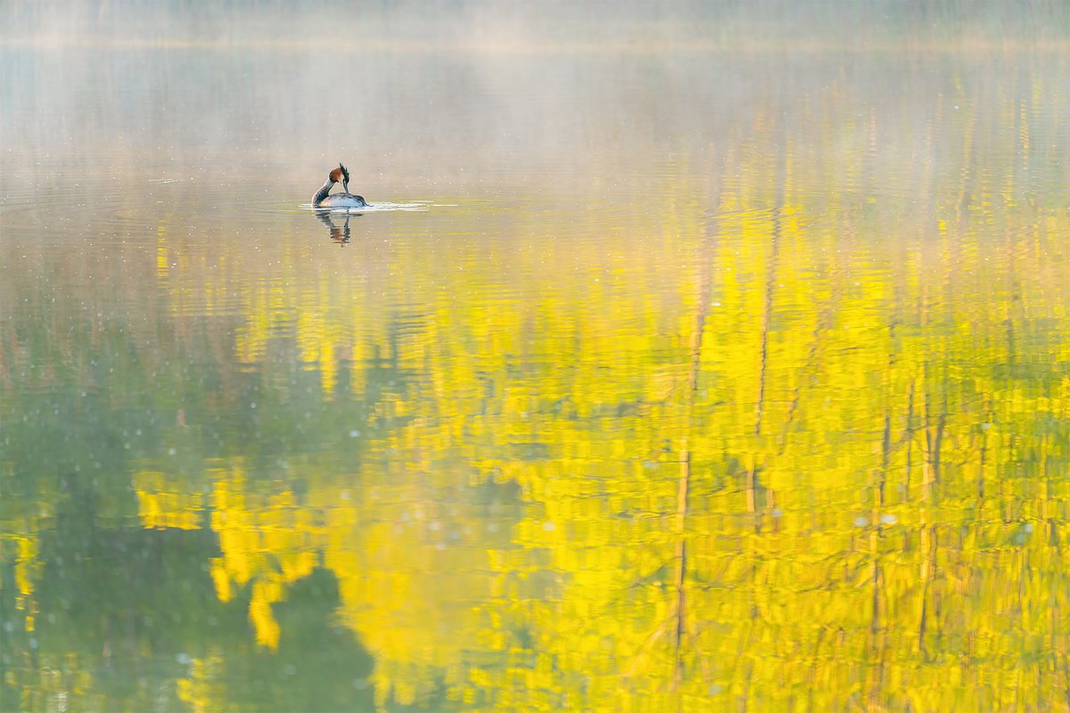 WildArt Photographer of the Year (@wildartpoty) on Twitter photo Hurry - our SPACE category closes for entries at midnight BST 30th June, so make sure you don't miss the deadline. Visit our website for details and to enter wildartpoty.com Here is last year's Silver Award winner by <a href="/SillyPigsPlay/">Steve Palmer</a> .
<a href="/SwarovskiOptik/">SWAROVSKI OPTIK</a> <a href="/OMSYSTEMcameras/">OM SYSTEM Cameras</a> Hurry - our SPACE category closes for entries at midnight BST 30th June, so make sure you don't miss the deadline. Visit our website for details and to enter wildartpoty.com Here is last year's Silver Award winner by <a href="/SillyPigsPlay/">Steve Palmer</a> .
<a href="/SwarovskiOptik/">SWAROVSKI OPTIK</a> <a href="/OMSYSTEMcameras/">OM SYSTEM Cameras</a>
