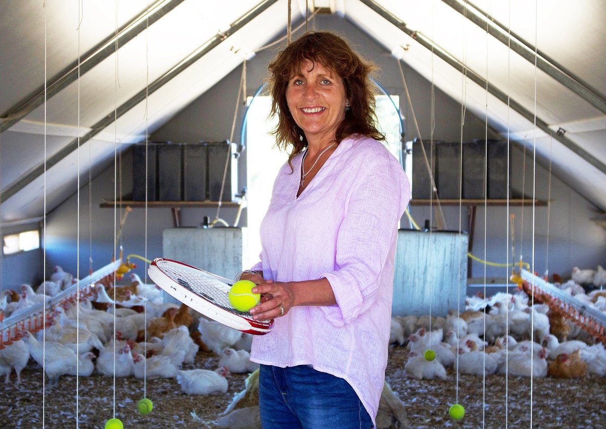 Great news! 🎾 Wimbledon 2022 begins today and our client, Sutton Hoo Chicken will be supplying their slow-grown chickens Compass Group UK, the official caterers of The Championships. 

This will be their 7th year supplying the official caterers of Wimbledon since 2015!