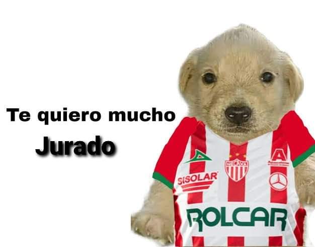 citlally_jurado's tweet photo. Gracias a todos por su voto! 
Los queremos la vida!! 
@Heriber40201217 
Los tiempos de Dios son y siempre serán perfectos 🙏♥️ https://t.co/ePE7dHzbrD