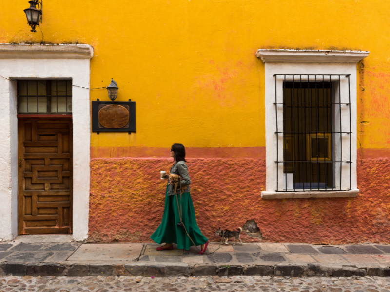 TuruhiCommunity's tweet photo. Flâneur
It is a french word which means "A person of leisure who strolls aimlessly, observing life and society."
#linquistics #traveling #wanderlust https://t.co/YV1ZQg4GJD