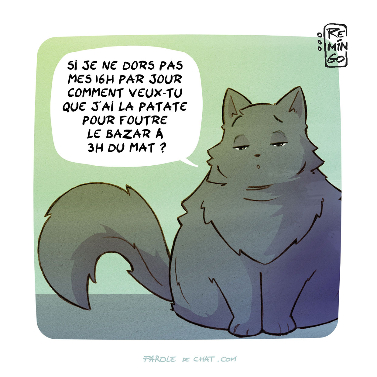 Parole De Chat Faireset Twitter