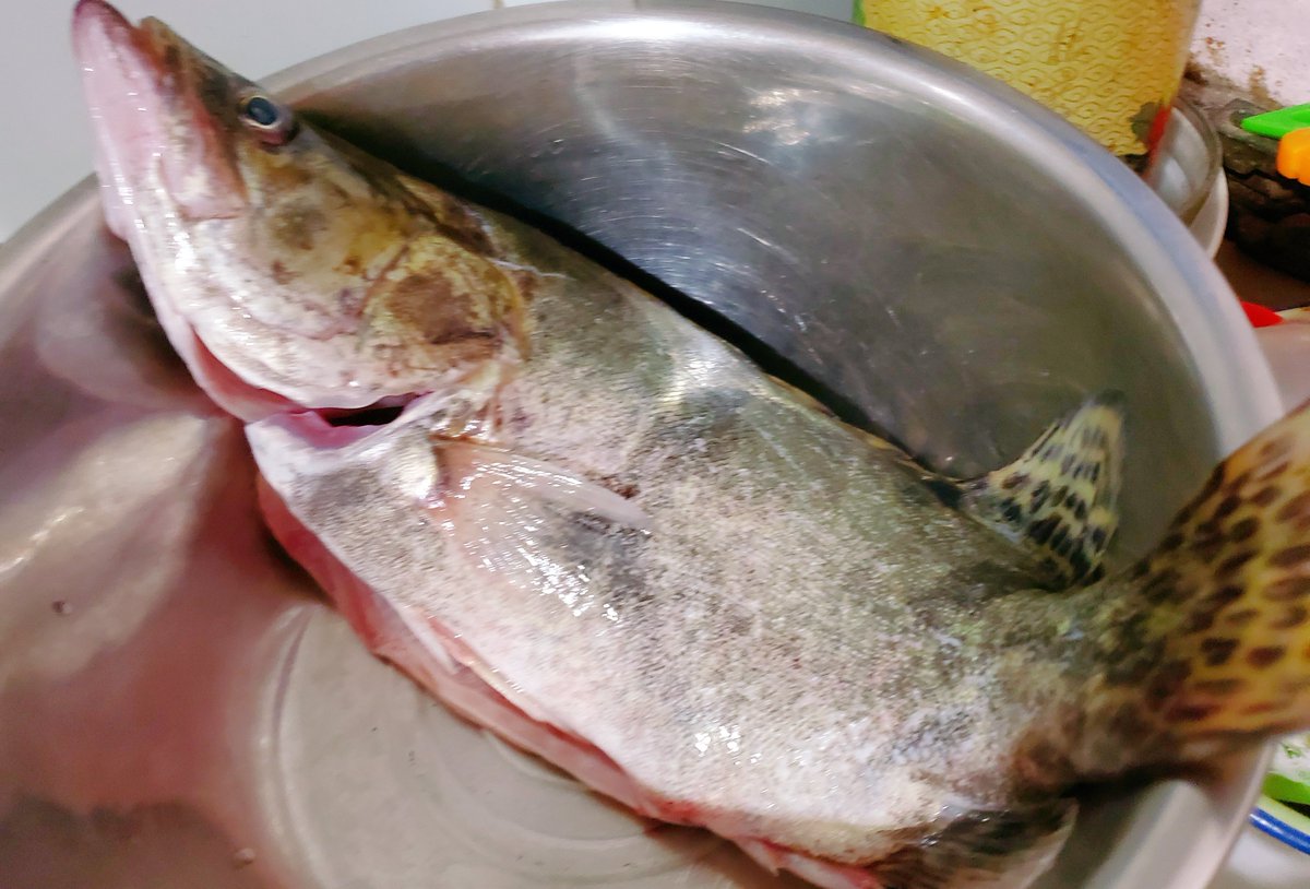 Guymay4's tweet image. My grandma wants to have #松鼠鳜鱼 (Sweat and Sour Mandarin Fish) on her birthday
So before the day, i had my first try, it took me 3h…It's so DELICIOUS!!😭OMG!! it's more tasty than the restaurant!!!
Just wait for weekend and show my cooking skills😁🐟👍
#mandarinfish #cook